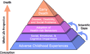 ACE pyramid is study's conceptual framework