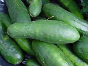 cucumber